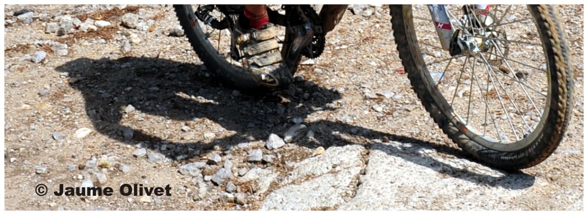 DE_C15 � Jaume Olivet