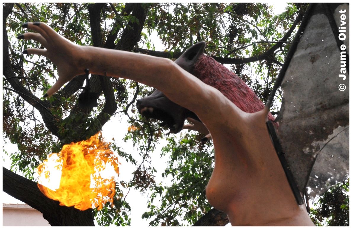 creu 11019 � Jaume Olivet