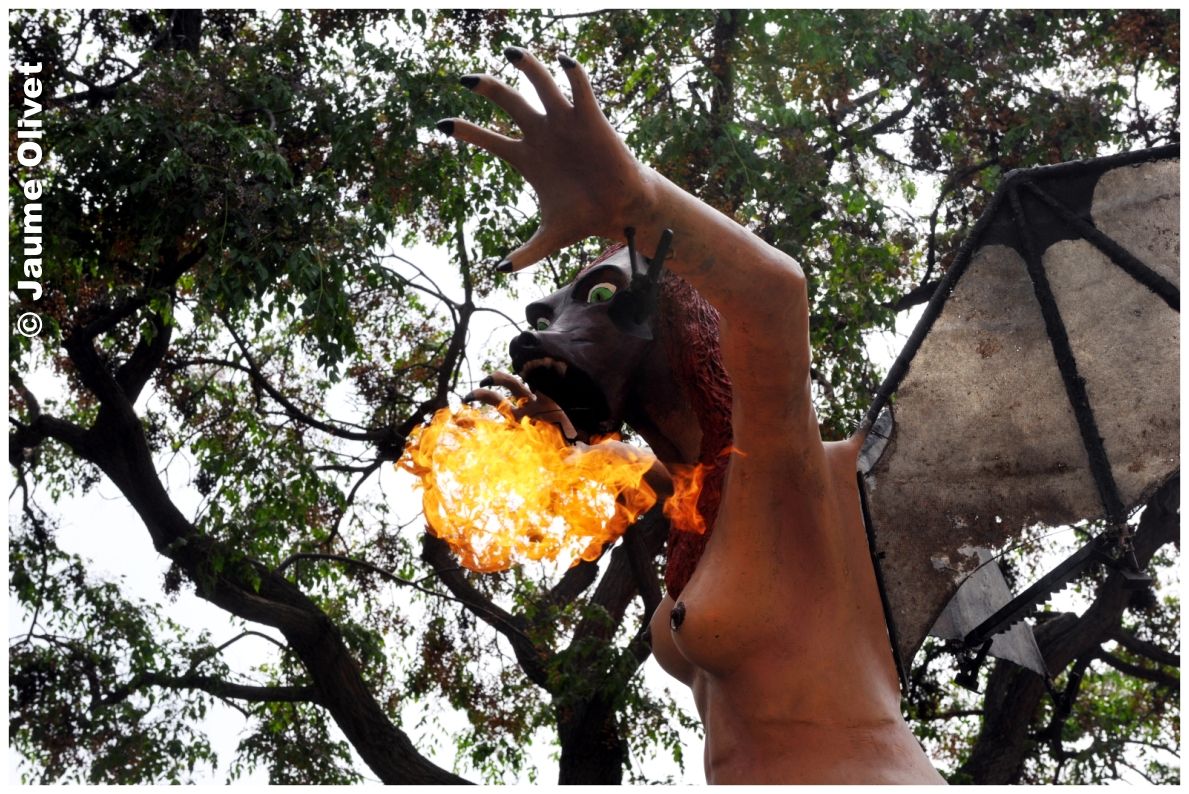 creu 11020 � Jaume Olivet