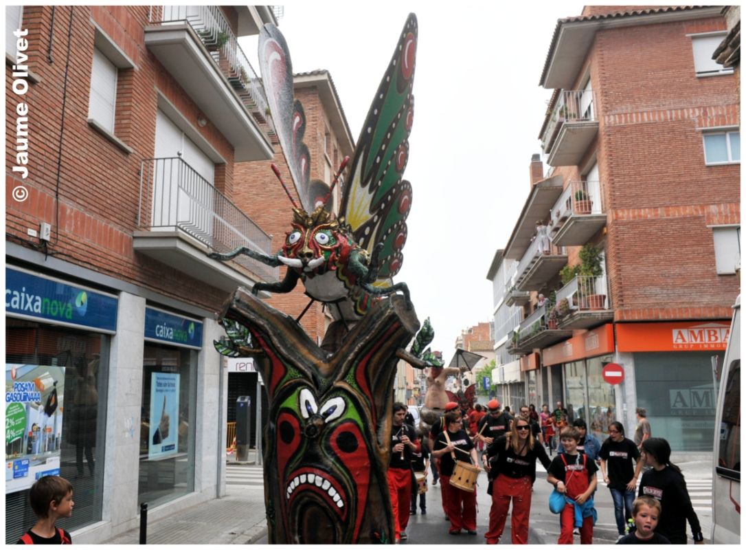 creu 11103 � Jaume Olivet