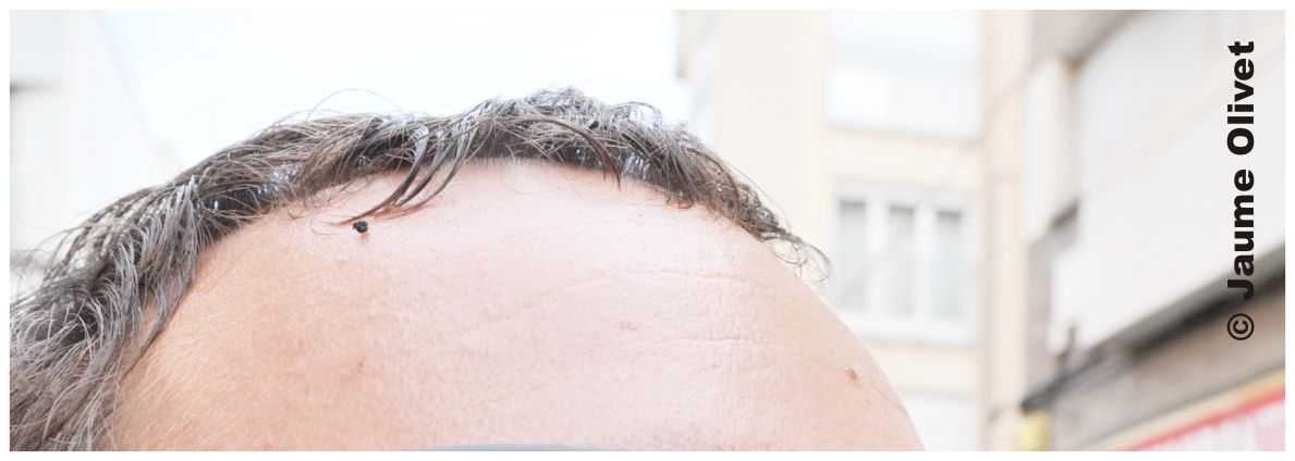 creu 11110 � Jaume Olivet