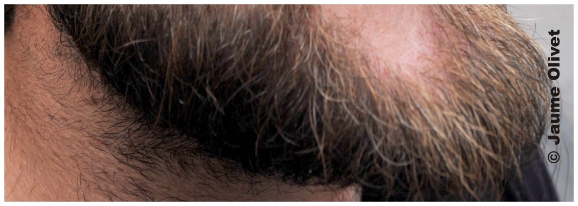 creu 11113 � Jaume Olivet