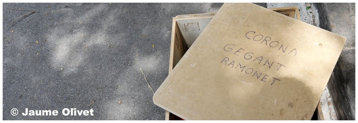 creu 11141 � Jaume Olivet