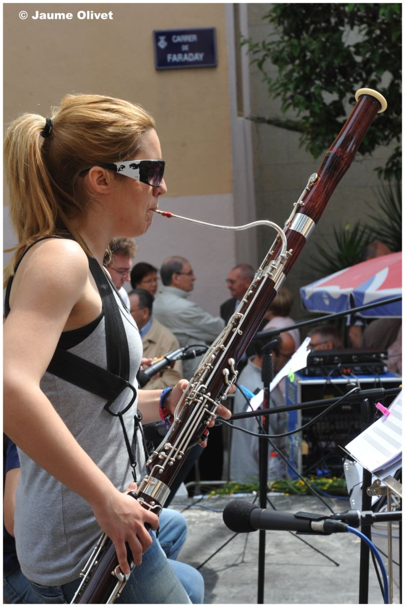 creu 11156 � Jaume Olivet