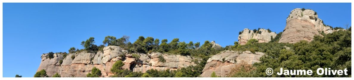 � Jaume Olivet 2011