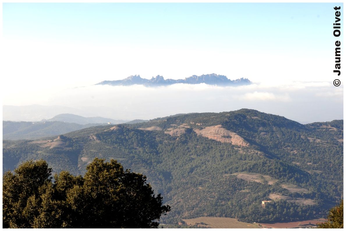 � Jaume Olivet 2011