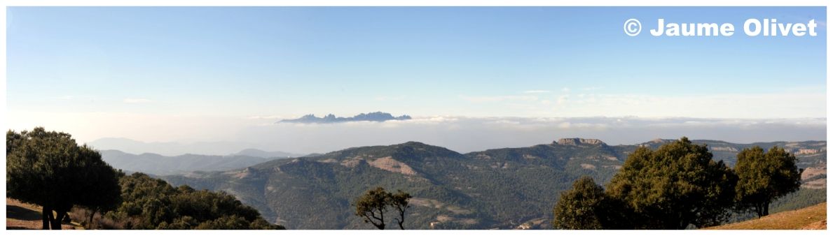 � Jaume Olivet 2011