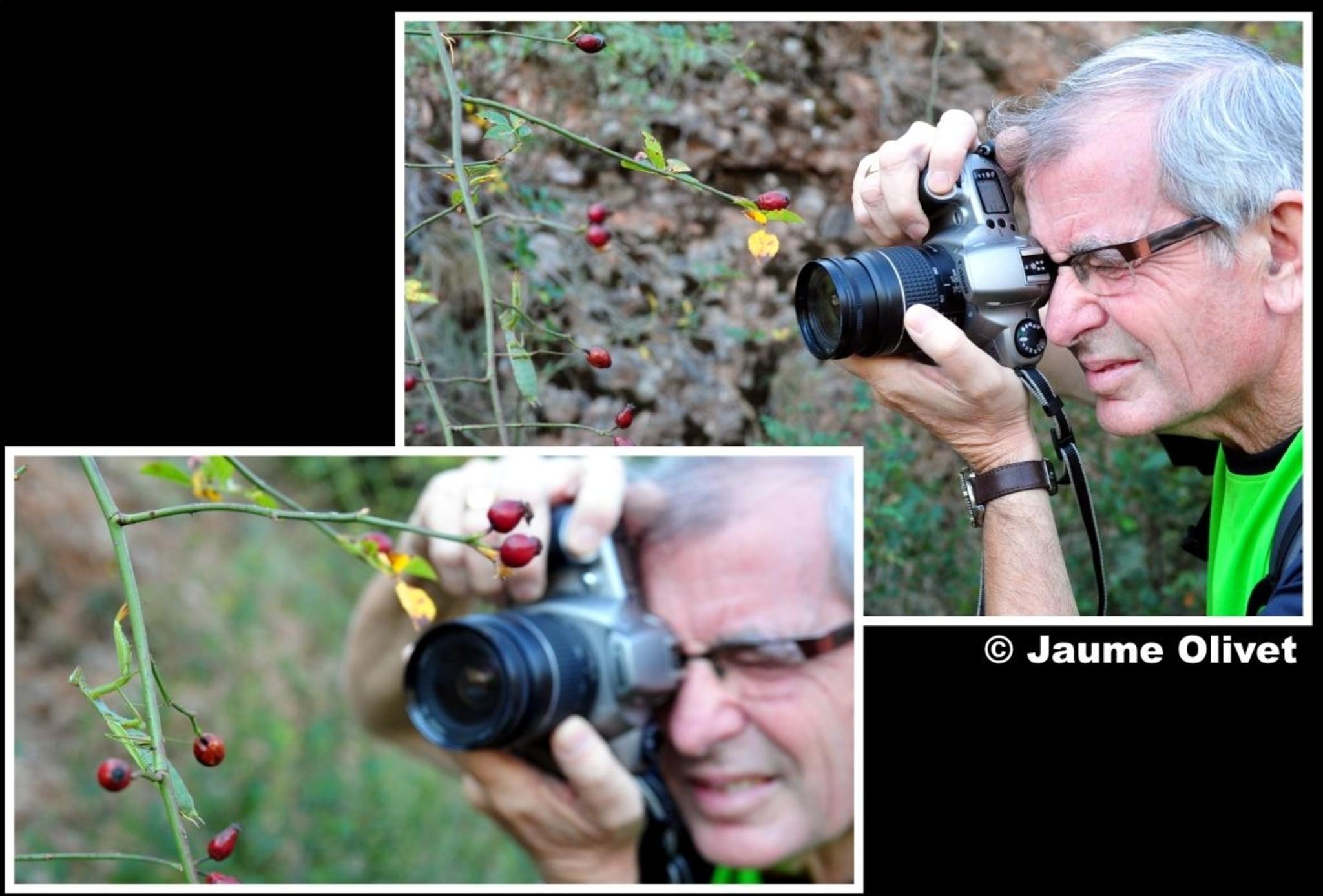 � Jaume Olivet 2011