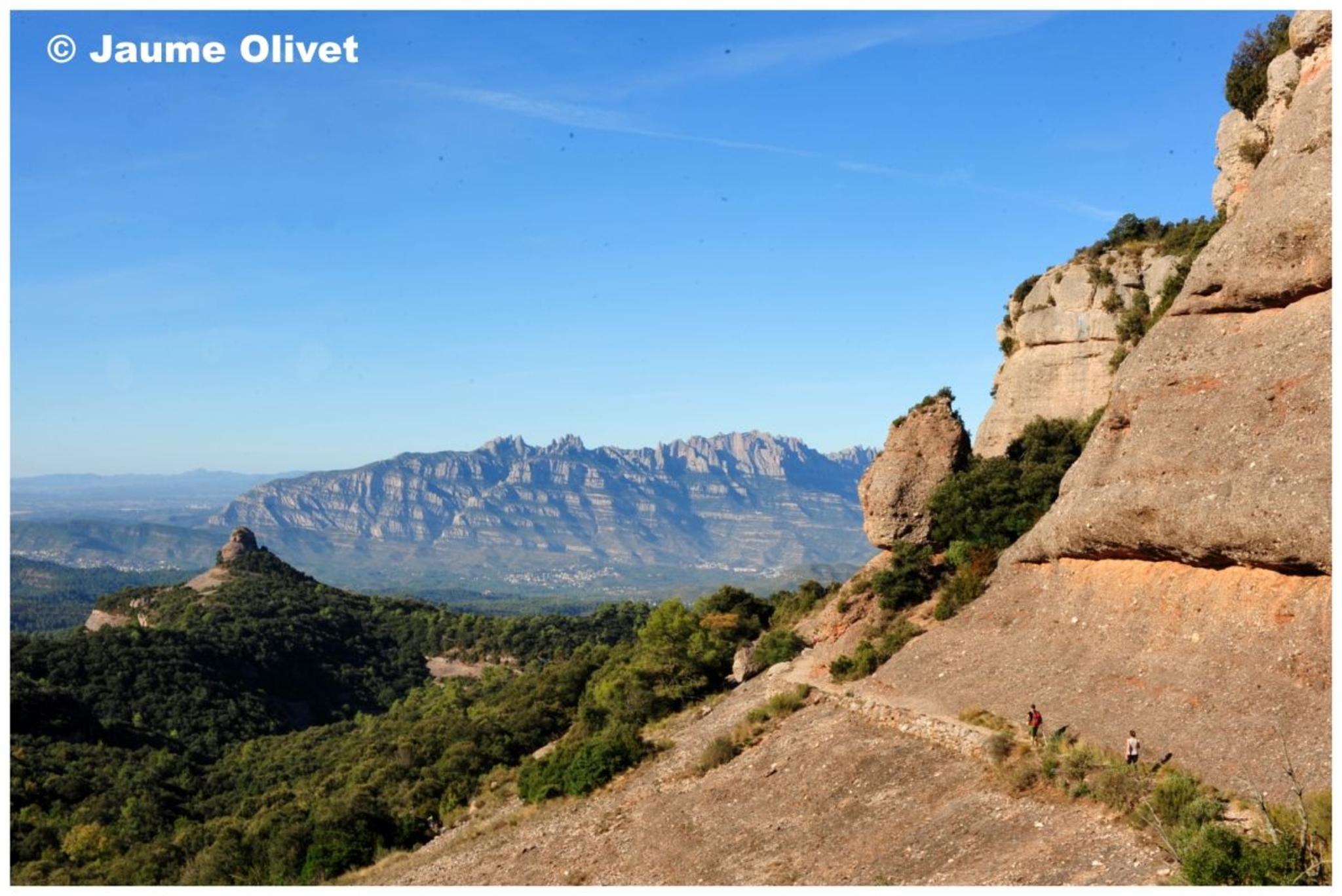  Jaume Olivet 2011