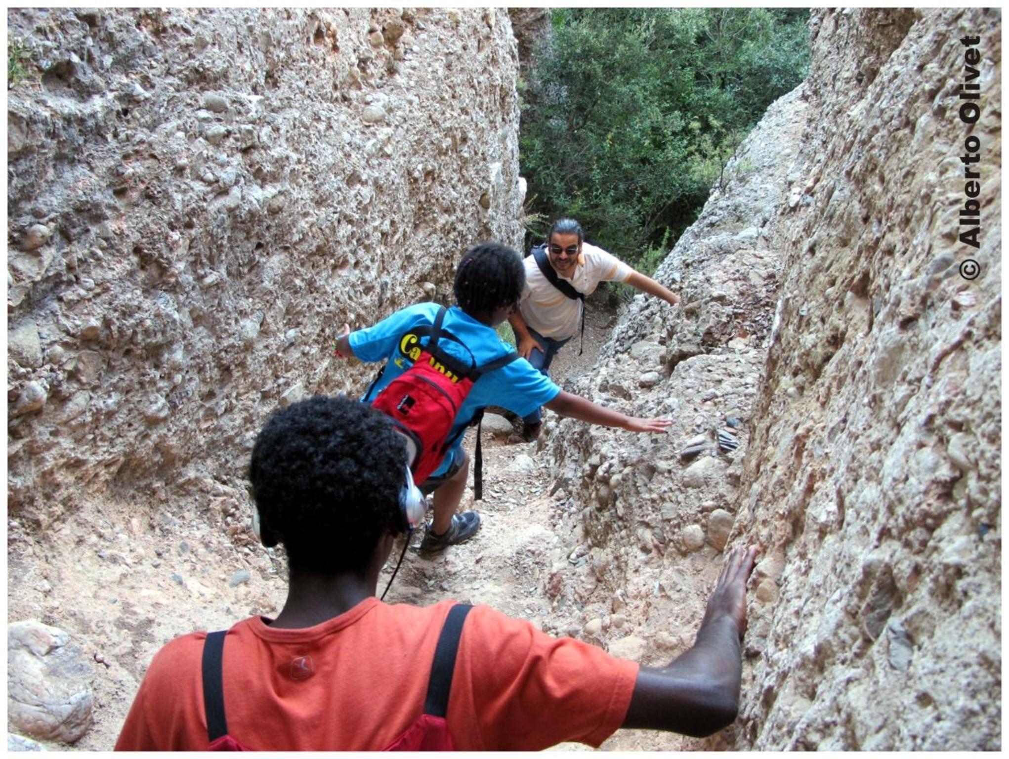 � Jeuma Olivet 2011