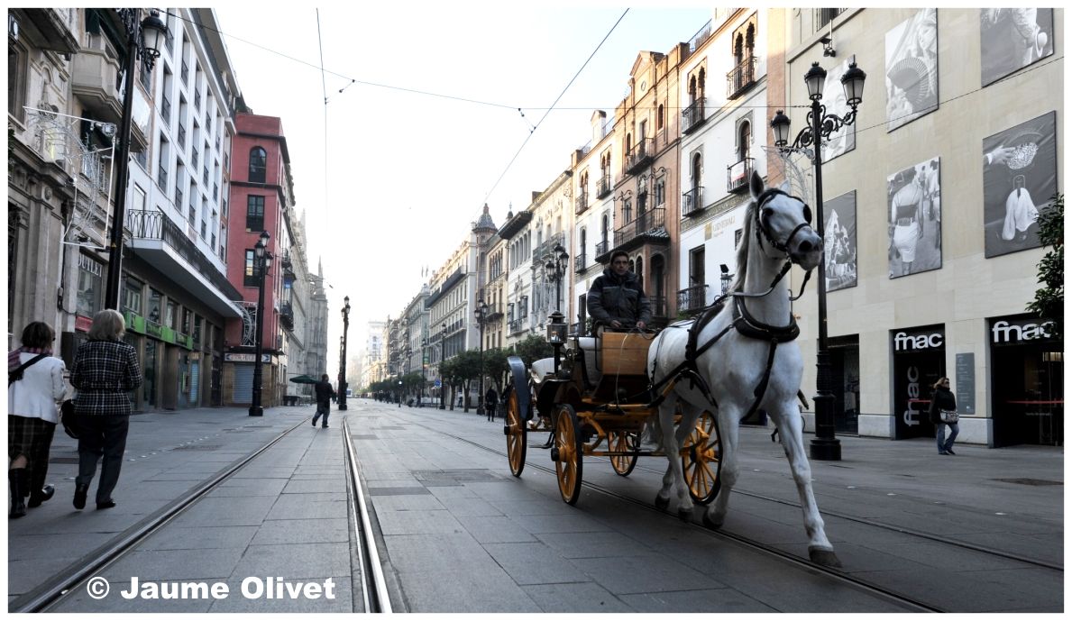 © Jaume Olivet