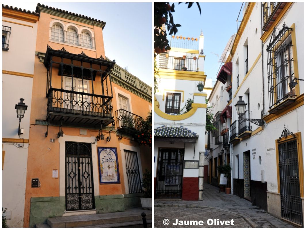 © Jaume Olivet