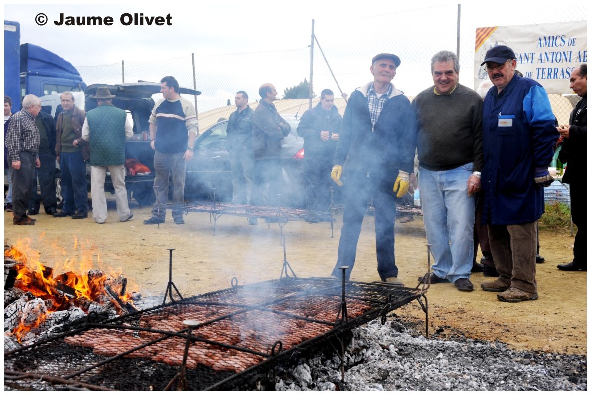 TT11_0101 � Jaume Olivet
