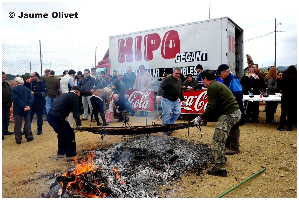 TT11_0102 � Jaume Olivet