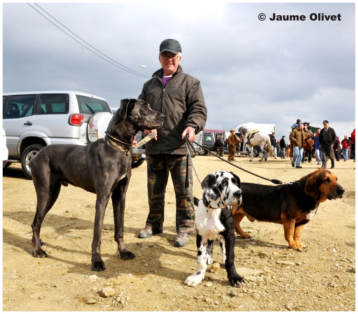 TT11_0104 � Jaume Olivet