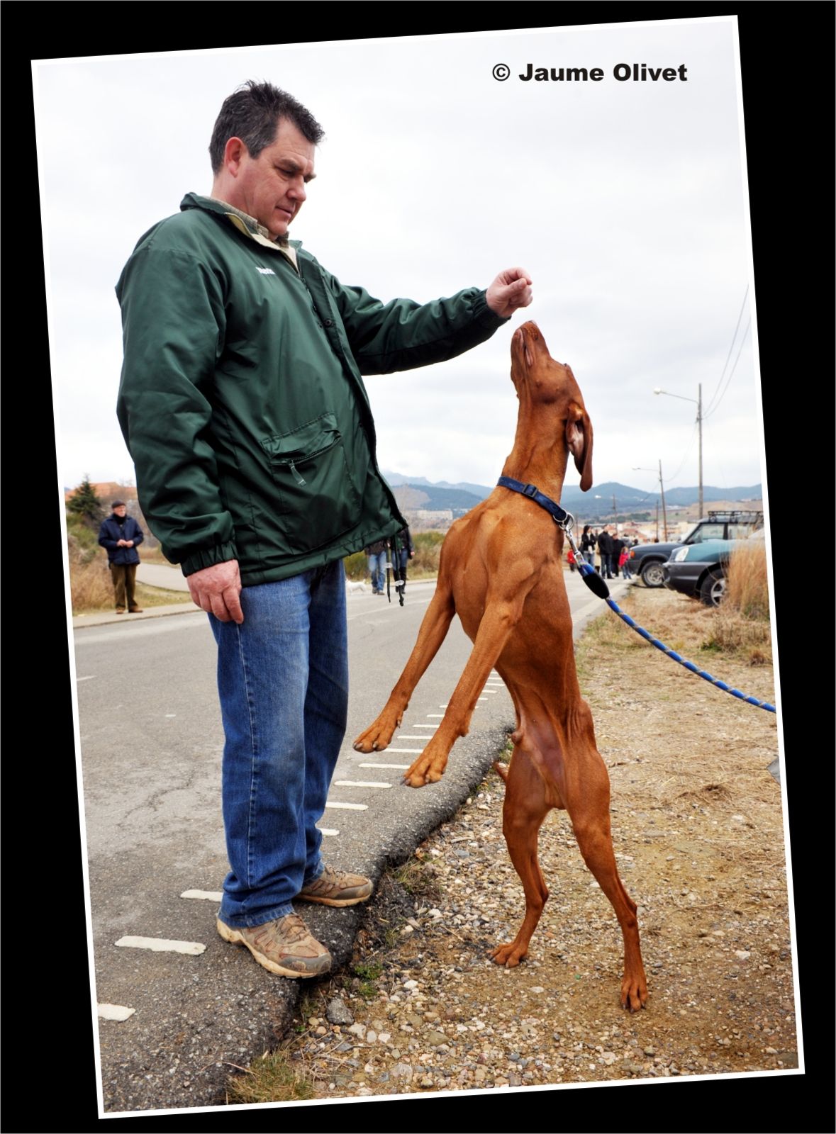 TT11_0107 � Jaume Olivet