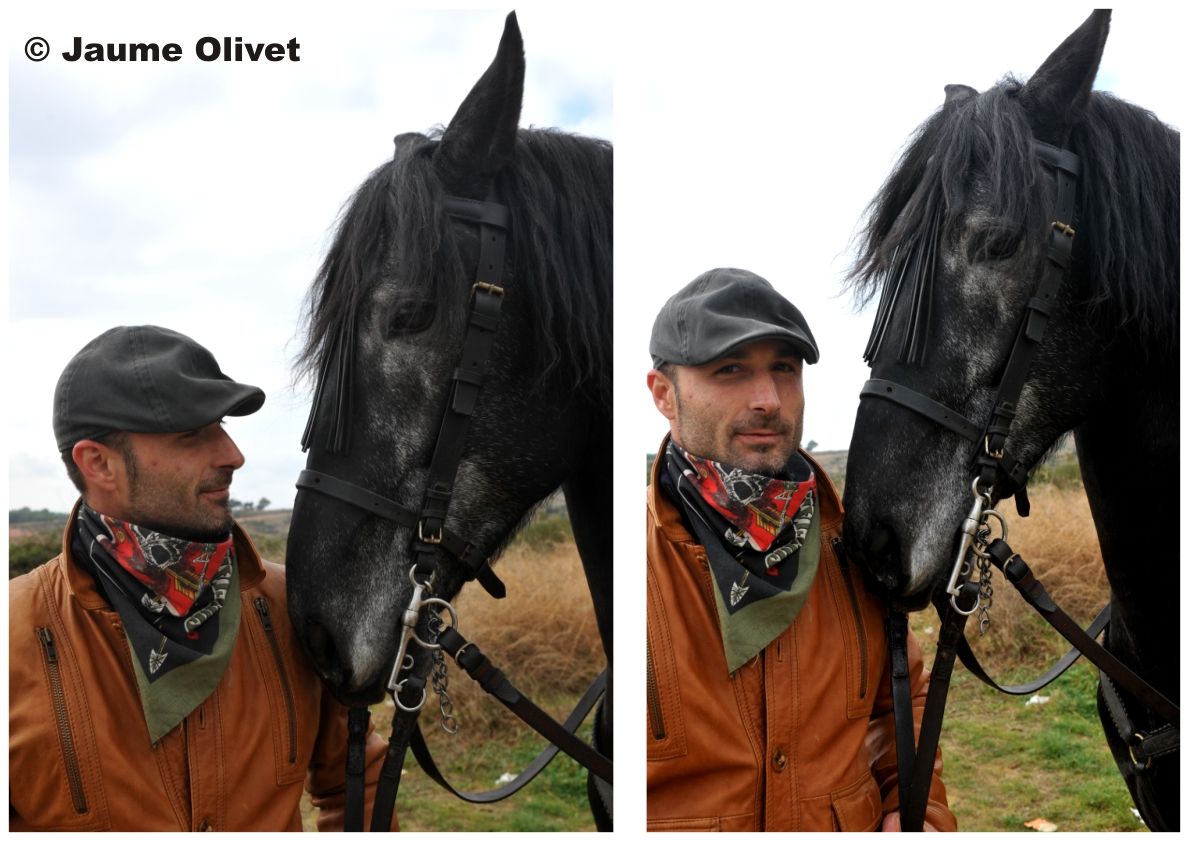 TT11_0111 � Jaume Olivet