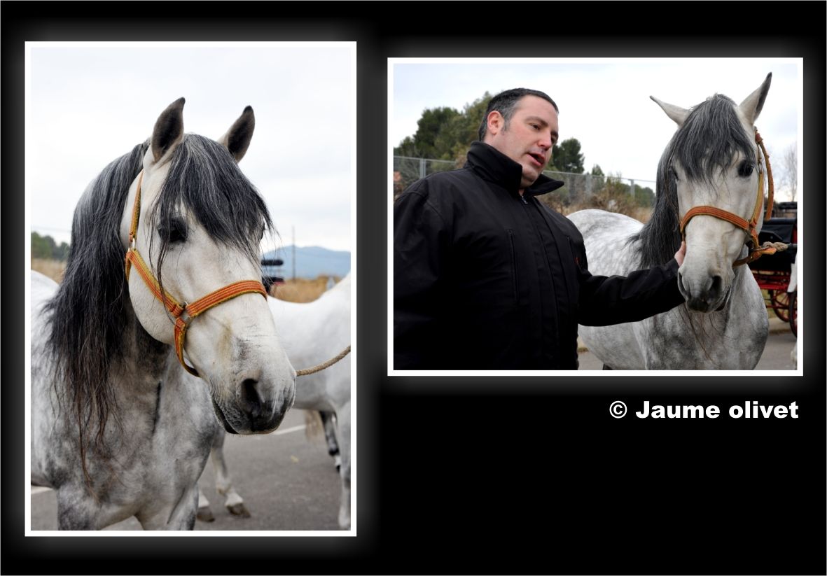 TT11_0112 � Jaume Olivet