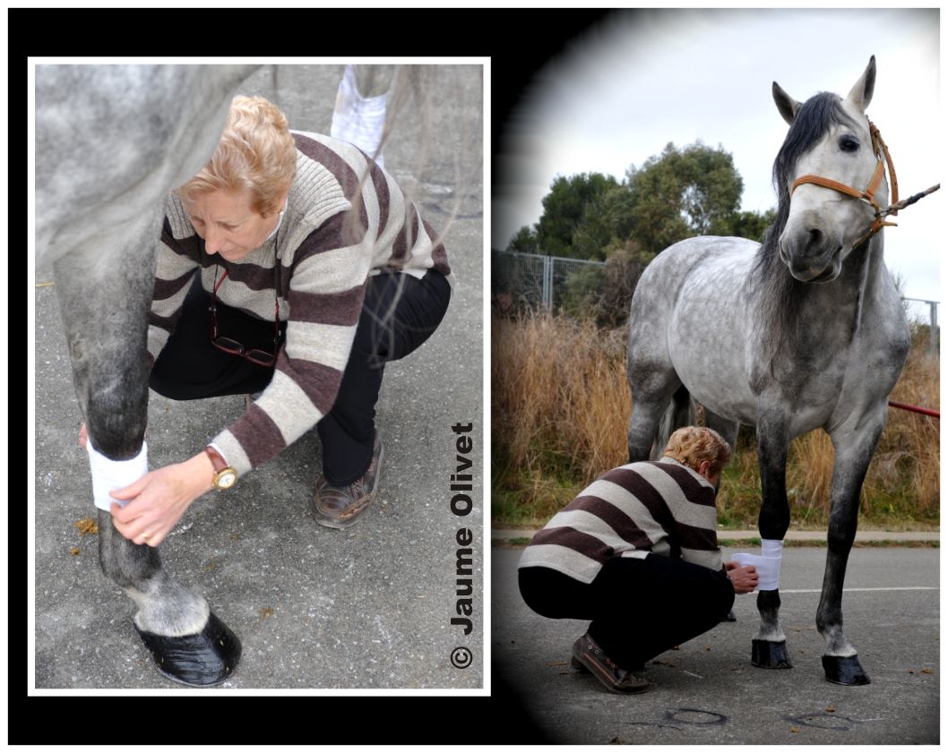 TT11_0115 � Jaume Olivet