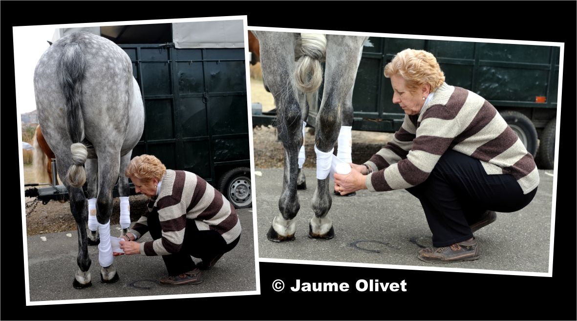 TT11_0116 � Jaume Olivet