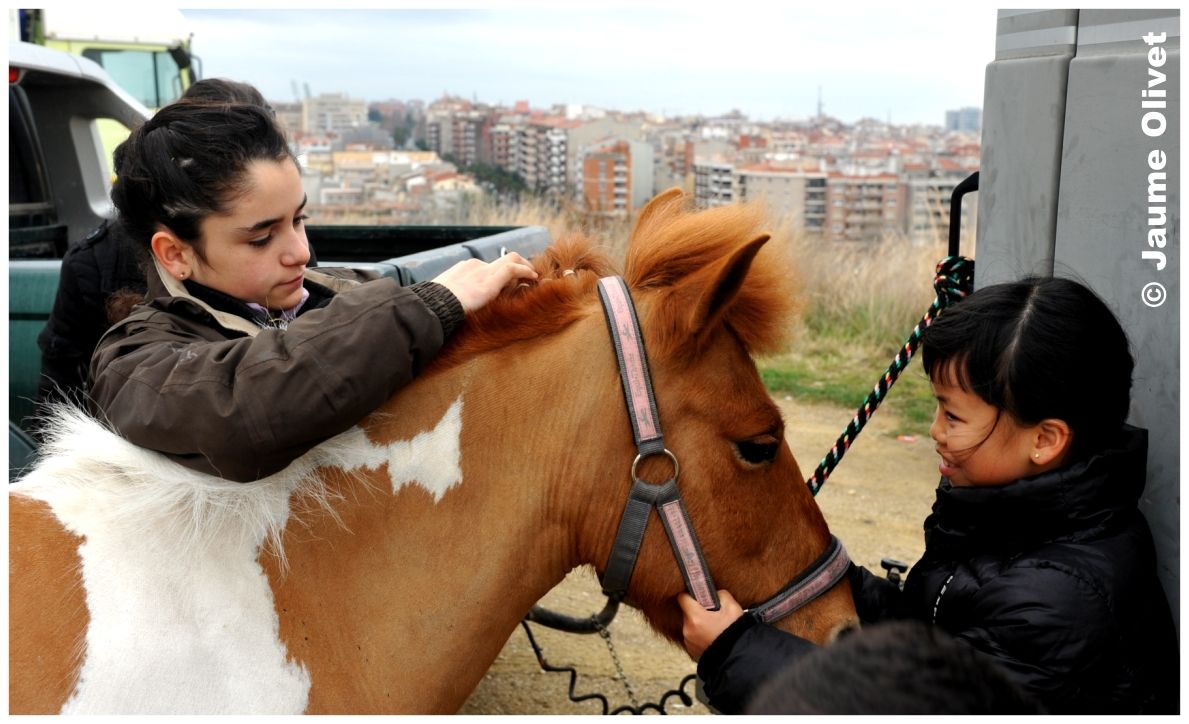 TT11_0118 � Jaume Olivet