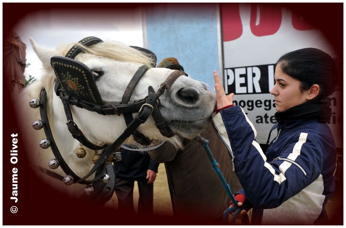 TT11_0119 � Jaume Olivet