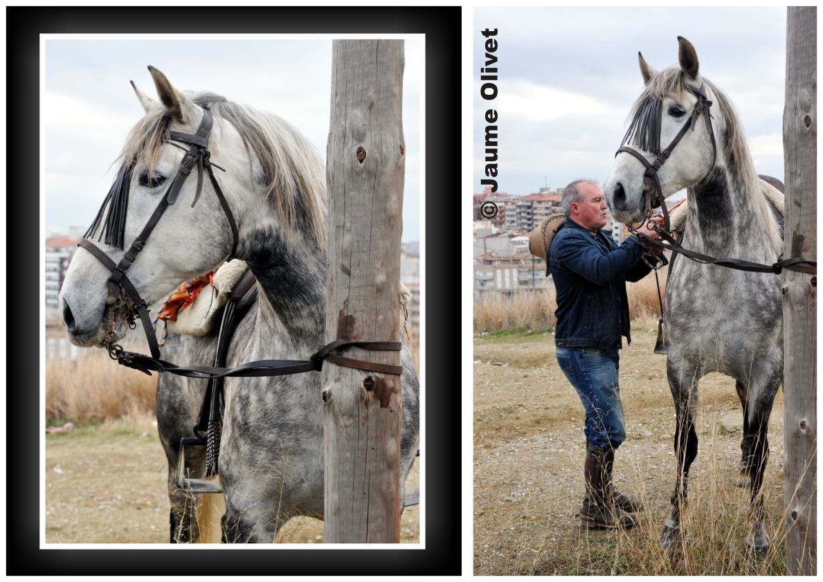 TT11_0201 � Jaume Olivet