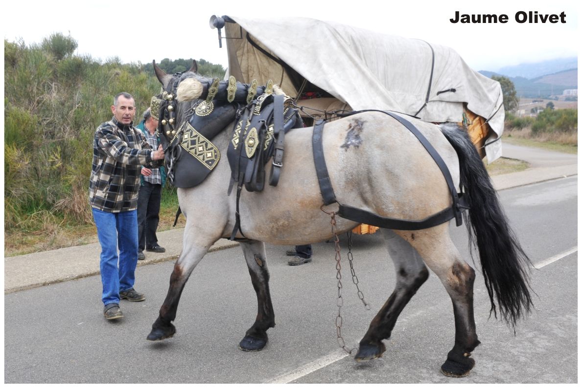 TT11_0202 � Jaume Olivet