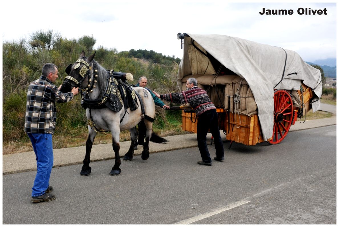 TT11_0203 � Jaume Olivet