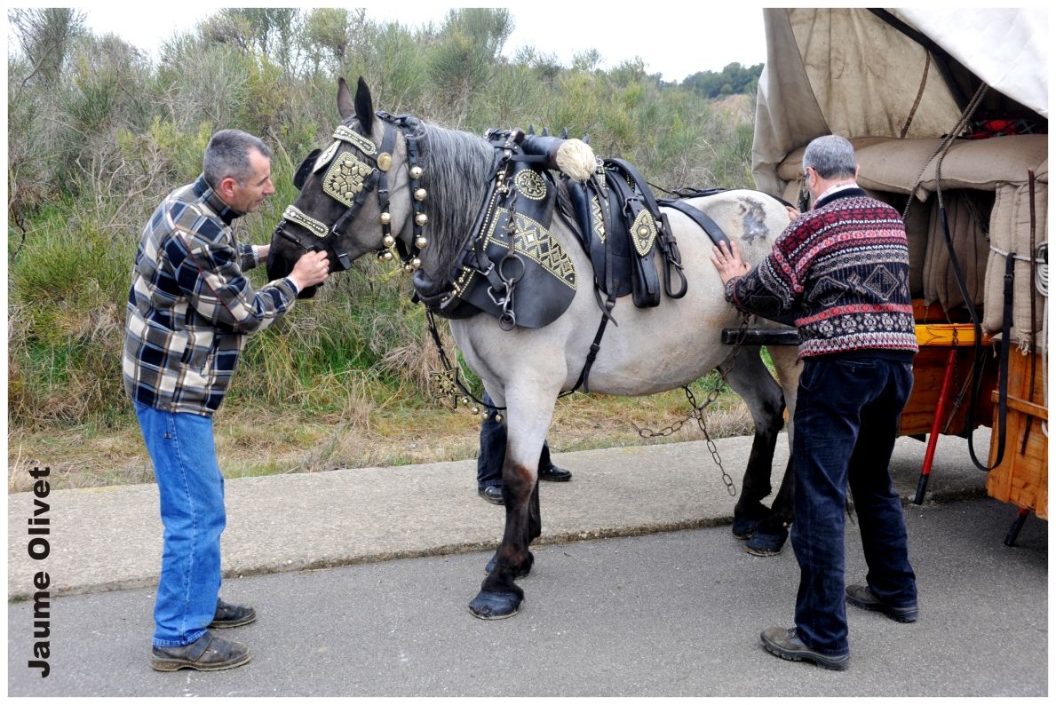 TT11_0204 � Jaume Olivet