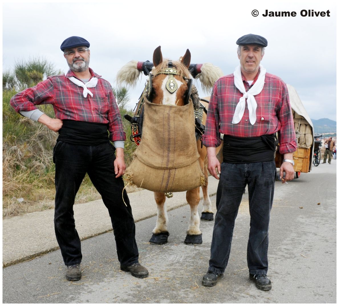 TT11_0206 � Jaume Olivet