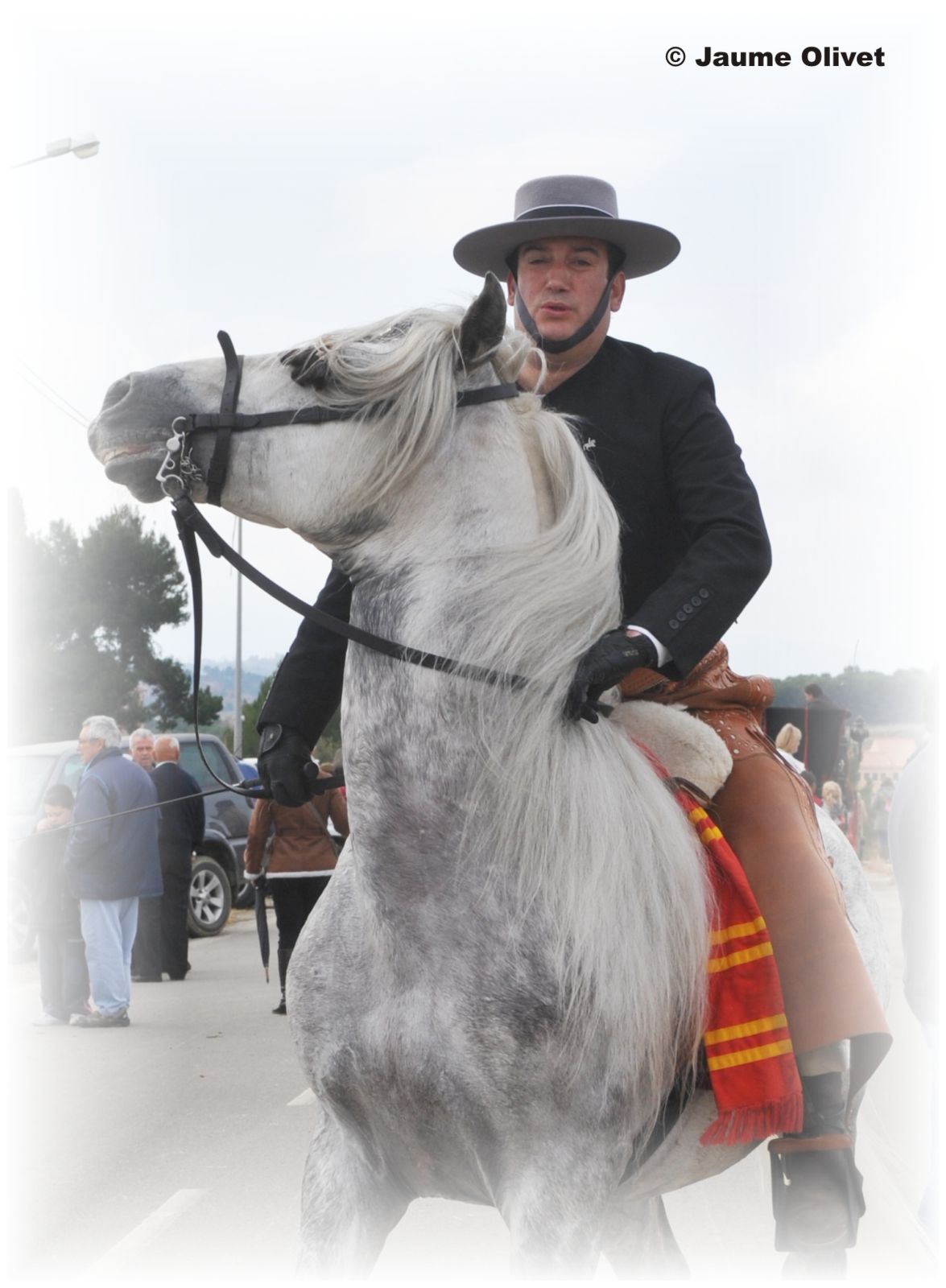 TT11_0211 � Jaume Olivet