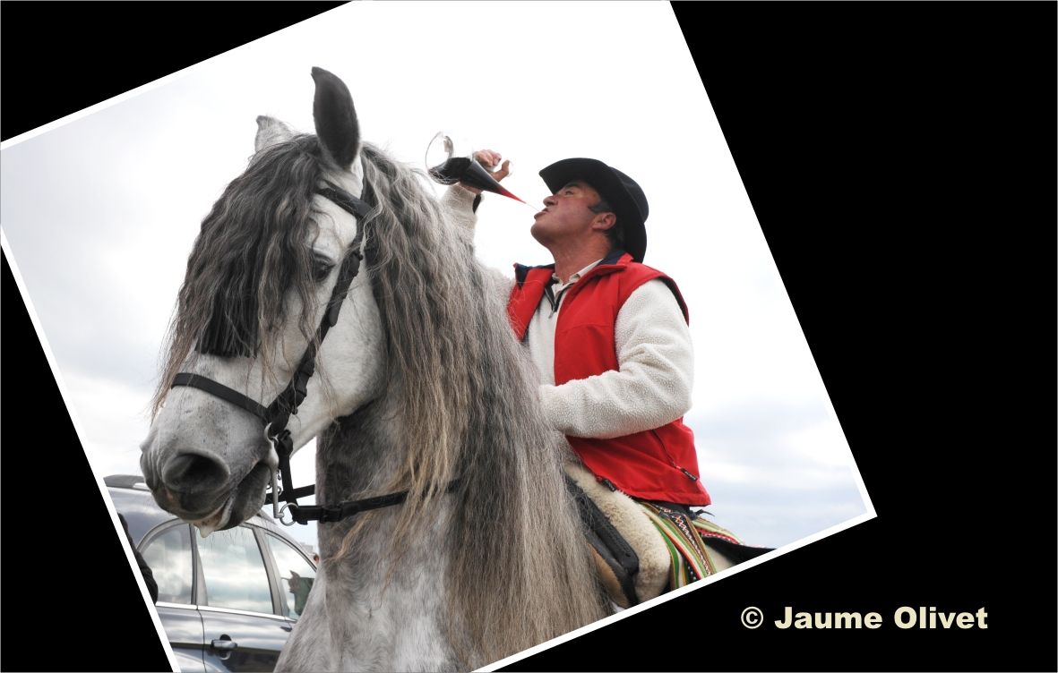 TT11_0212 � Jaume Olivet