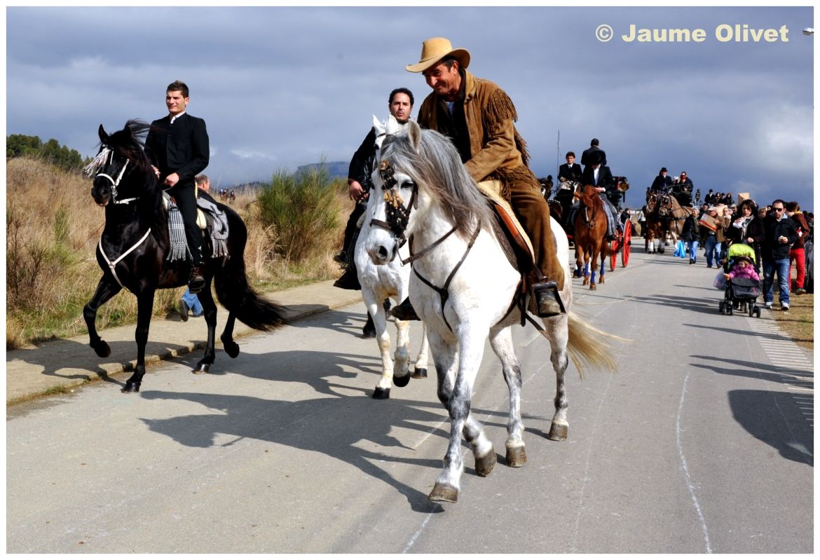 TT11_0213 � Jaume Olivet