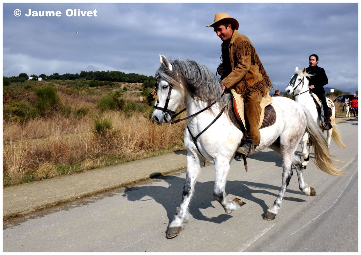 TT11_0214 � Jaume Olivet