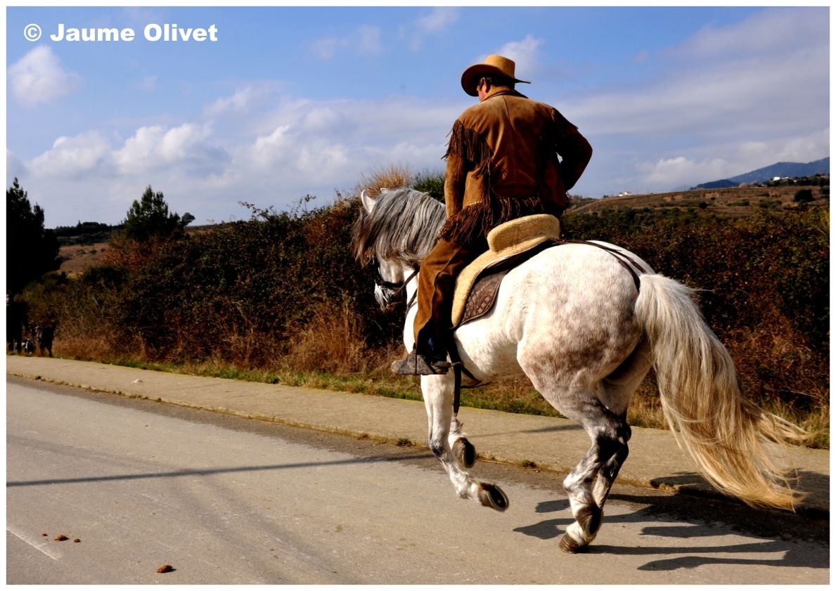 TT11_0215 � Jaume Olivet