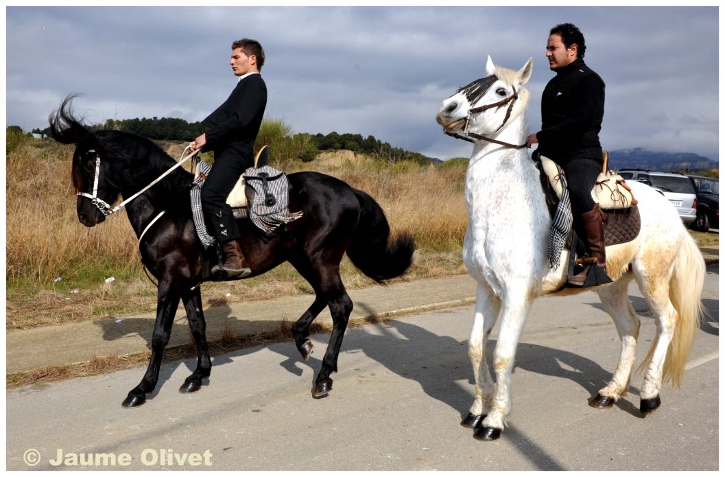 TT11_0216 � Jaume Olivet