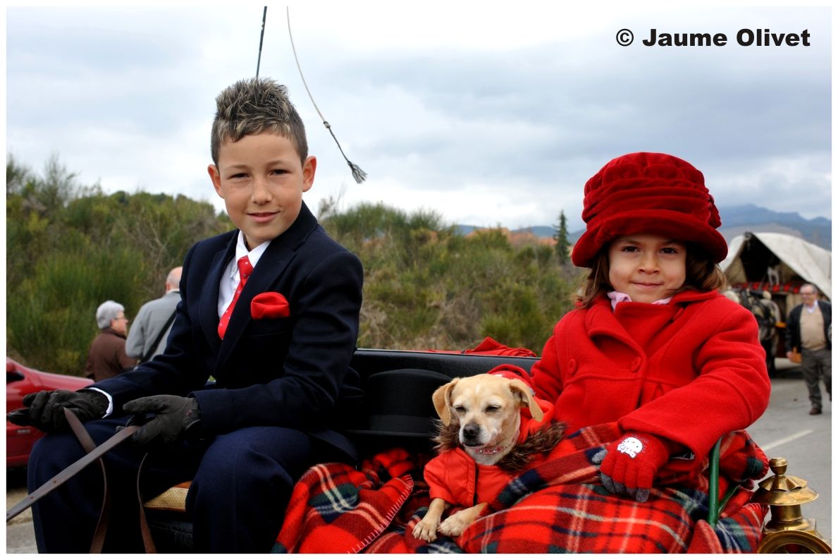 TT11_0219 � Jaume Olivet