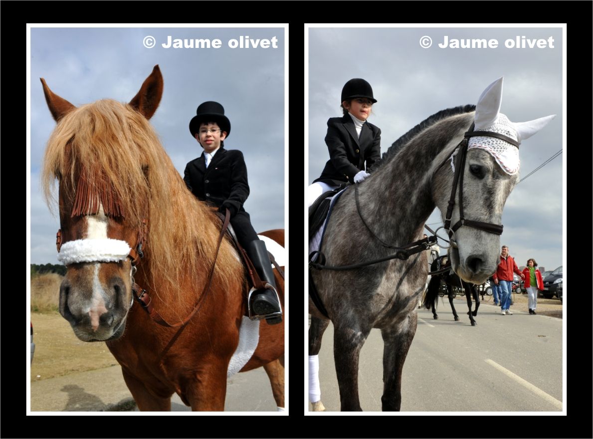 TT11_0301 � Jaume Olivet