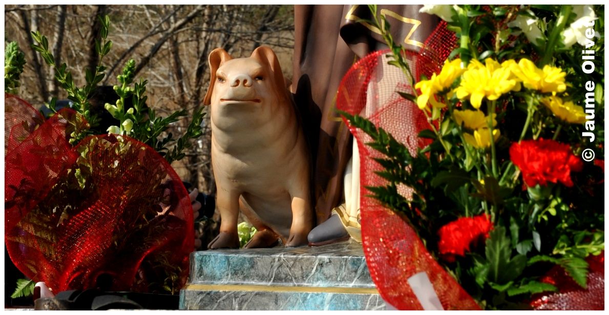 TT11_0306 � Jaume Olivet