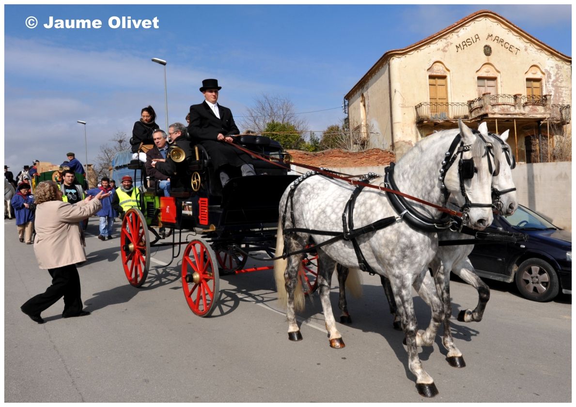 TT11_0307 � Jaume Olivet