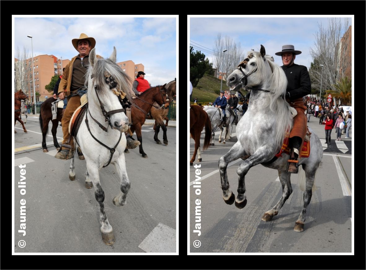 TT11_0309 � Jaume Olivet