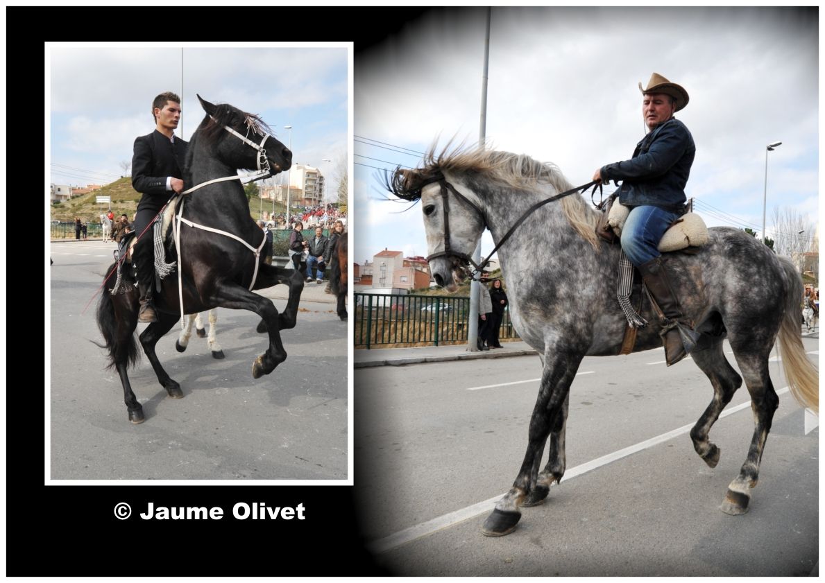 TT11_0310 � Jaume Olivet