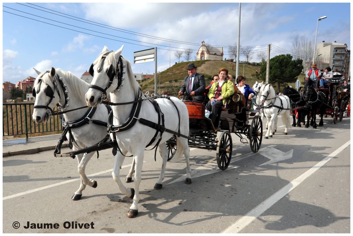 TT11_0311 � Jaume Olivet