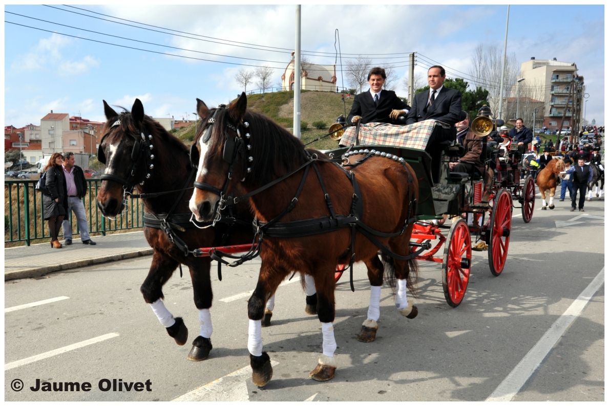 TT11_0312 � Jaume Olivet