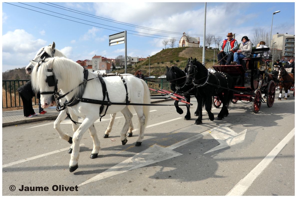 TT11_0313 � Jaume Olivet