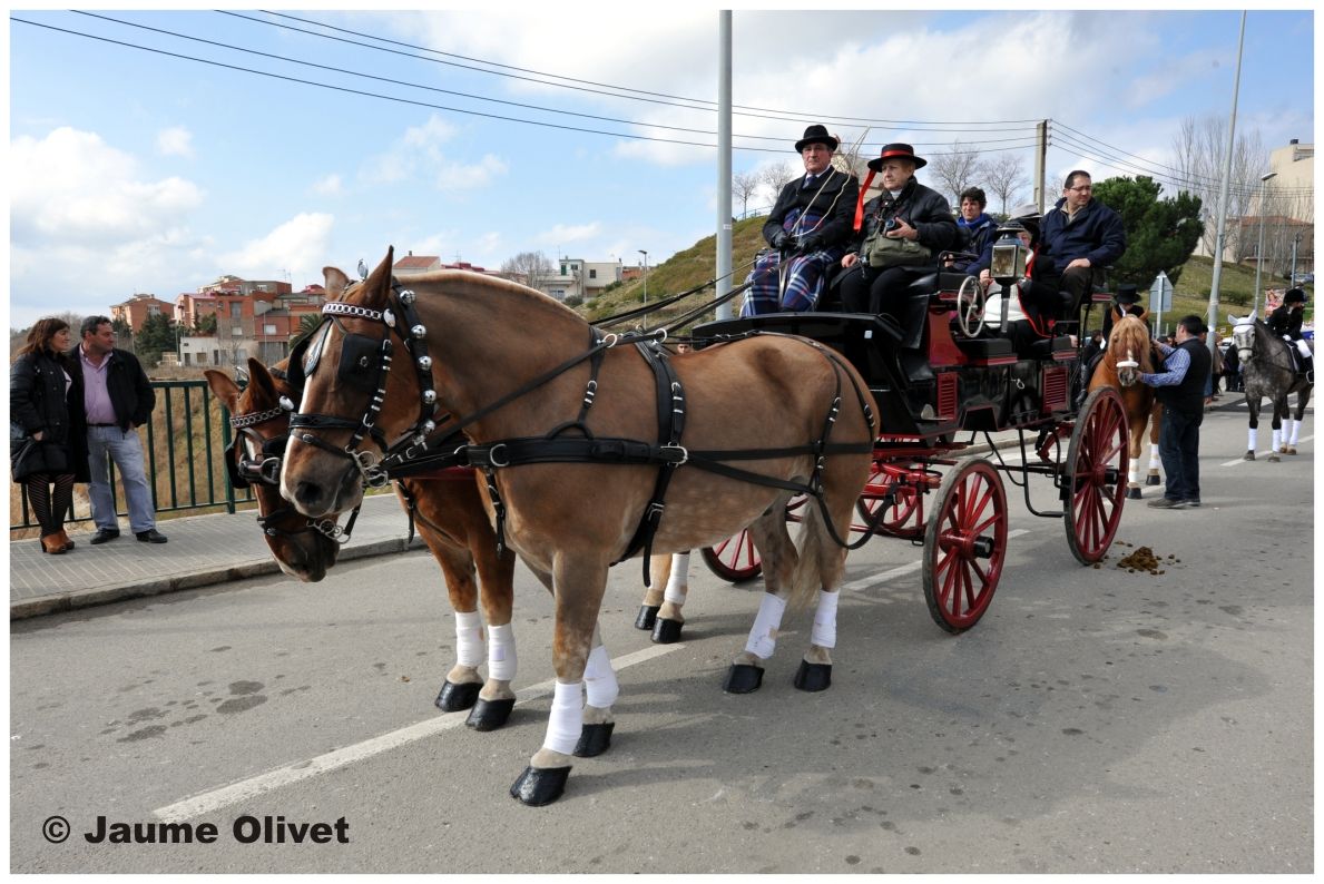 TT11_0314 � Jaume Olivet