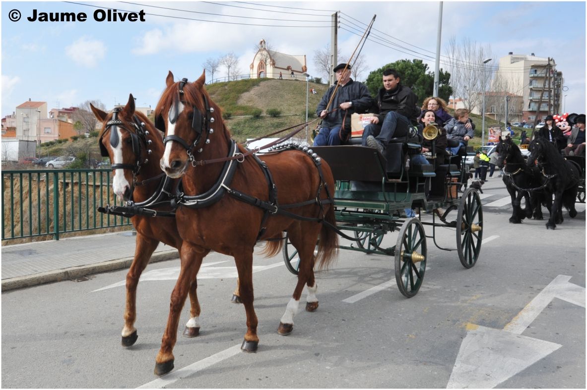 TT11_0315 � Jaume Olivet