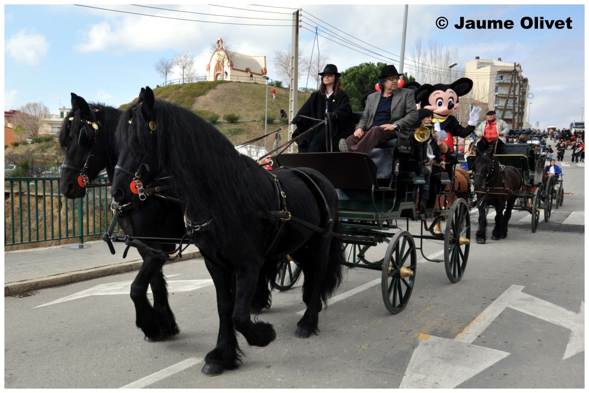 TT11_0316 � Jaume Olivet