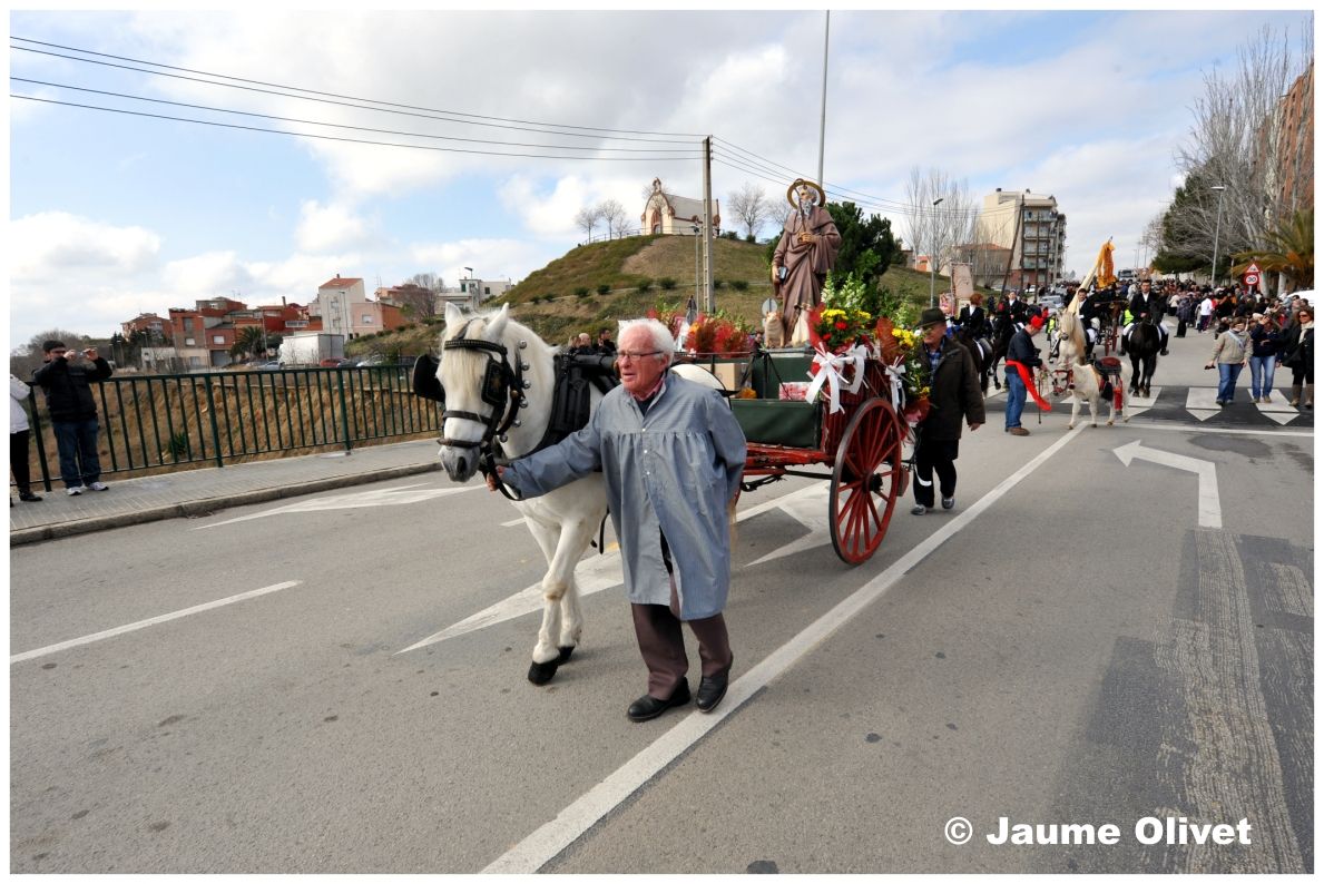 TT11_0317 � Jaume Olivet